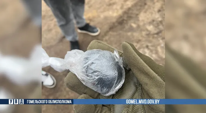 Жительница Чечерского района задержана за сбыт альфа-PVP: ей грозит до 20 лет лишения свободы